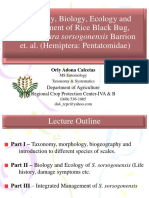 Biology, Ecology and Management of Rice Black Bug
