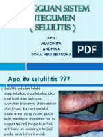 Selulitis