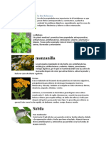 Plantas Medicinales