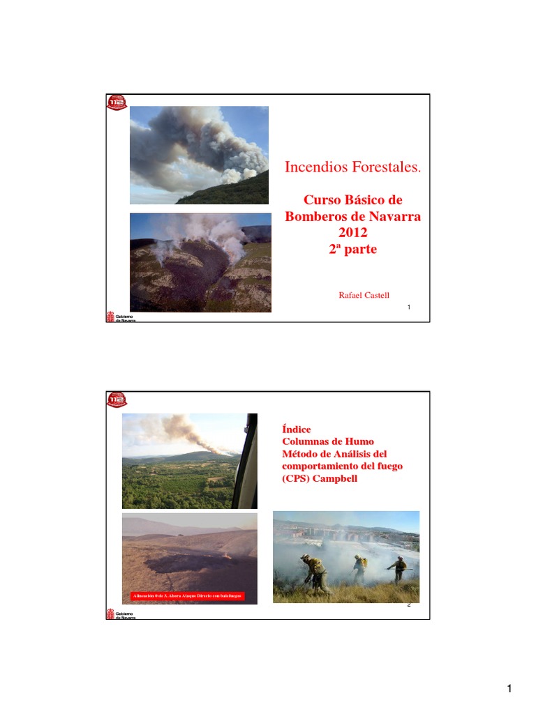 Análisis de Columnas de Humo en Incendios | PDF