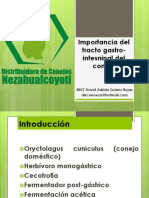 Importancia Del Tracto Gastrointestinal