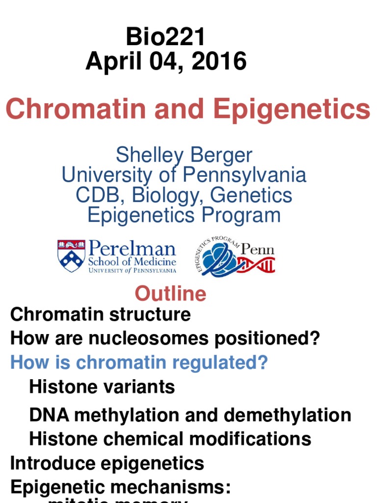 Chromatin and Epigenetics | PDF | Histone | Epigenetics