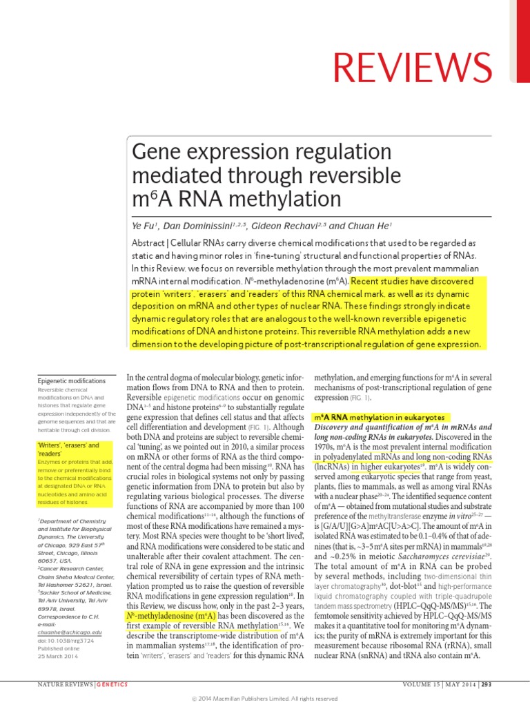 M6a Rna Methylation | PDF | Rna | Gene Expression