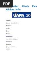 320927850-Primera-Actividad-de-Sociologia-I.docx