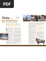 Download Torito protector by HistoriaUNMSM SN35563145 doc pdf