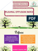 Presentasi PEI FIXED