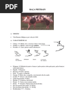 RAÇA PIETRAIN.apresentação.pdf