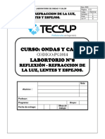 Informe Ondas y Calor N 8 PDF