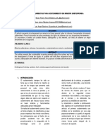 Herramientas para Sostenimiento en Minería Subterránea 1