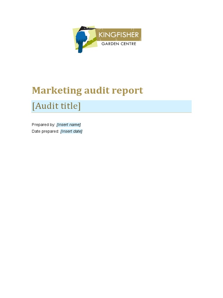 Comprehensive Marketing Audit Report | PDF | Swot Analysis | Marketing