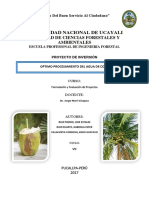 Proyecto Agua de Coco 1