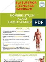 Músculos de La Pared Anterior y Antero-Lateral Del Torax