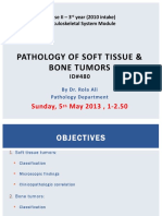 Seminar - Bone Soft Tissue Tumors - 5 TH Apr2013