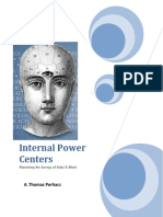 Internal Power Centers 2007 PDF