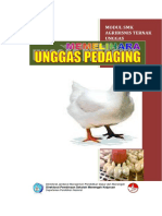 Modul Ayam PDF