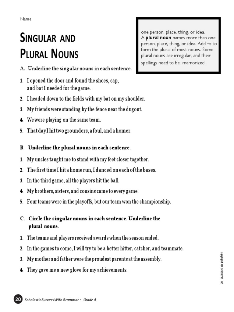 02 - Singular and Plural Nouns PDF | PDF | Plural | Grammatical Number