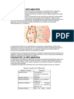 Protocolo Del Efecto Antiinflamtorio para Imprimir