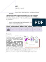 quimica laboratorio 13