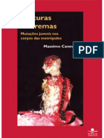 2005 culturasEXtremas Massimocanevacci PDF