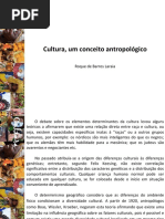 1resumoculturalaraia 150917032449 Lva1 App6892