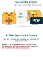 Female Repro