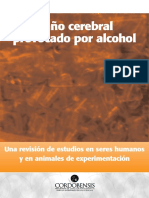 Daño Cerebral Provocado Por El Alcohol PDF