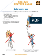 Tg06 10 Safe Ladder PDF en