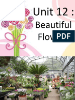 Unit 12:: Beautiful Flowers