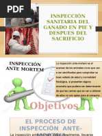 inspeccion sanitaria del ganado en pie
