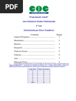 Conteudo Programatico 1 Ano Ensino Fundamental