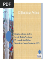 Colibacilose aviária
