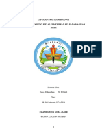 Laporan Pratikum Biologi Transpor Sel Osmosis