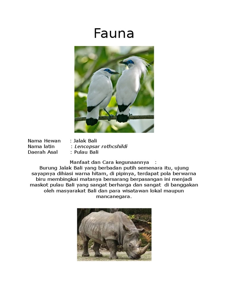 Fauna