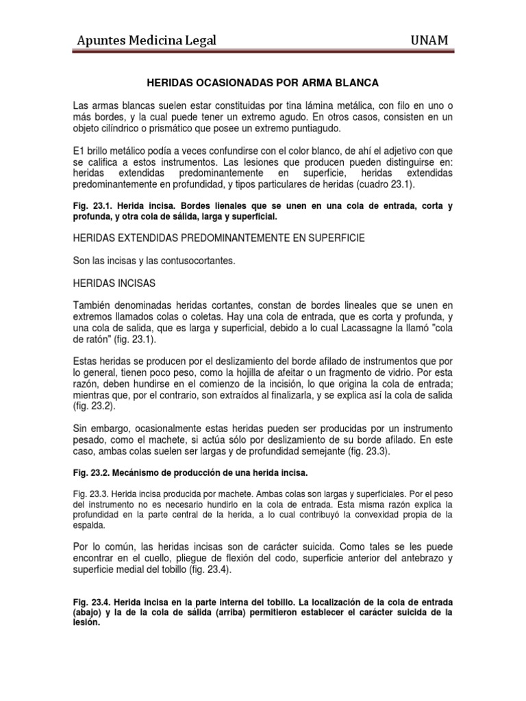 Clasificación de heridas por arma blanca | PDF | Herida | Suicidio