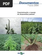 Identificacao de Amaranthus