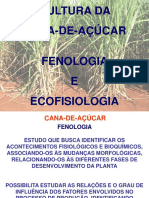 93477556-Cana-Fenologia-e-Ecofisiologia.pdf