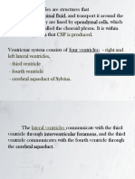 Neuroanatomia part 2.pdf