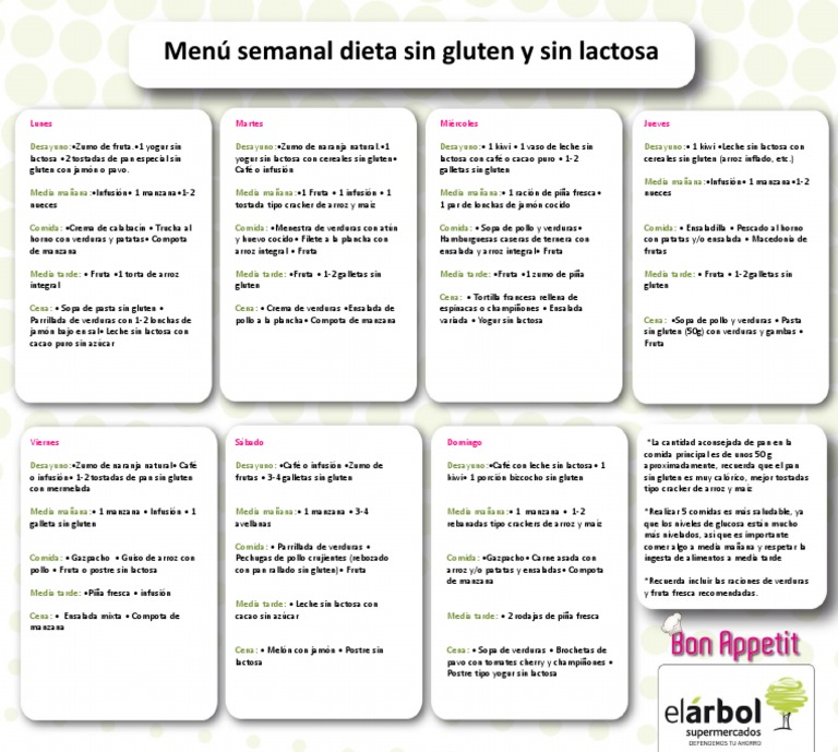 Lista 99+ Foto Recetas Sin Gluten, Sin Lactosa, Sin Azúcar Pdf Cena Hermosa