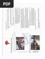 Download Weird Safe Streets Flyer by Damien Newton SN355752259 doc pdf