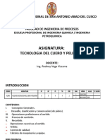 Tecnologia Del Cuero y Peleteria A