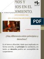 Principios y Derechos en El Procedimiento PDF