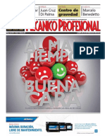 Mecanico Profesional Mayo 2014 - N95