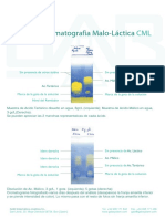 Ejemplos Cromatografia CML - SP