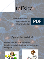 Citofísica