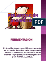 Fermentacion Alcoholica