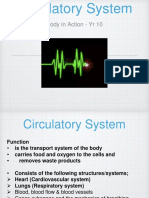 circulatory system pp 2017