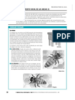 comportamiento social de la abejas.pdf
