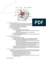 Utero PDF