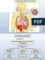 Fonetica y Fonologia 2014