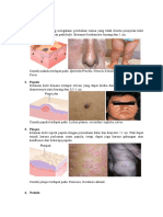 Skin_Efloresence_primer_and_secunder_Efl.docx